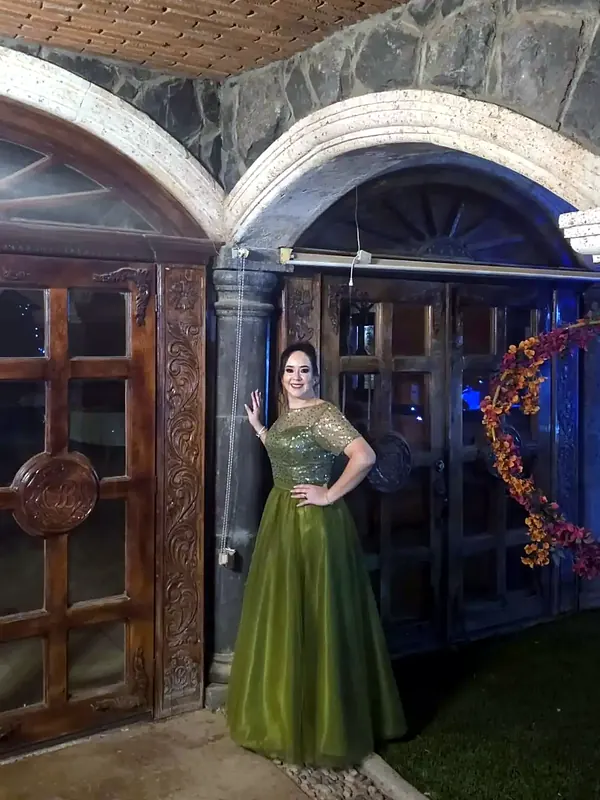 Vestido de noche verde olivo con corpiño bordado